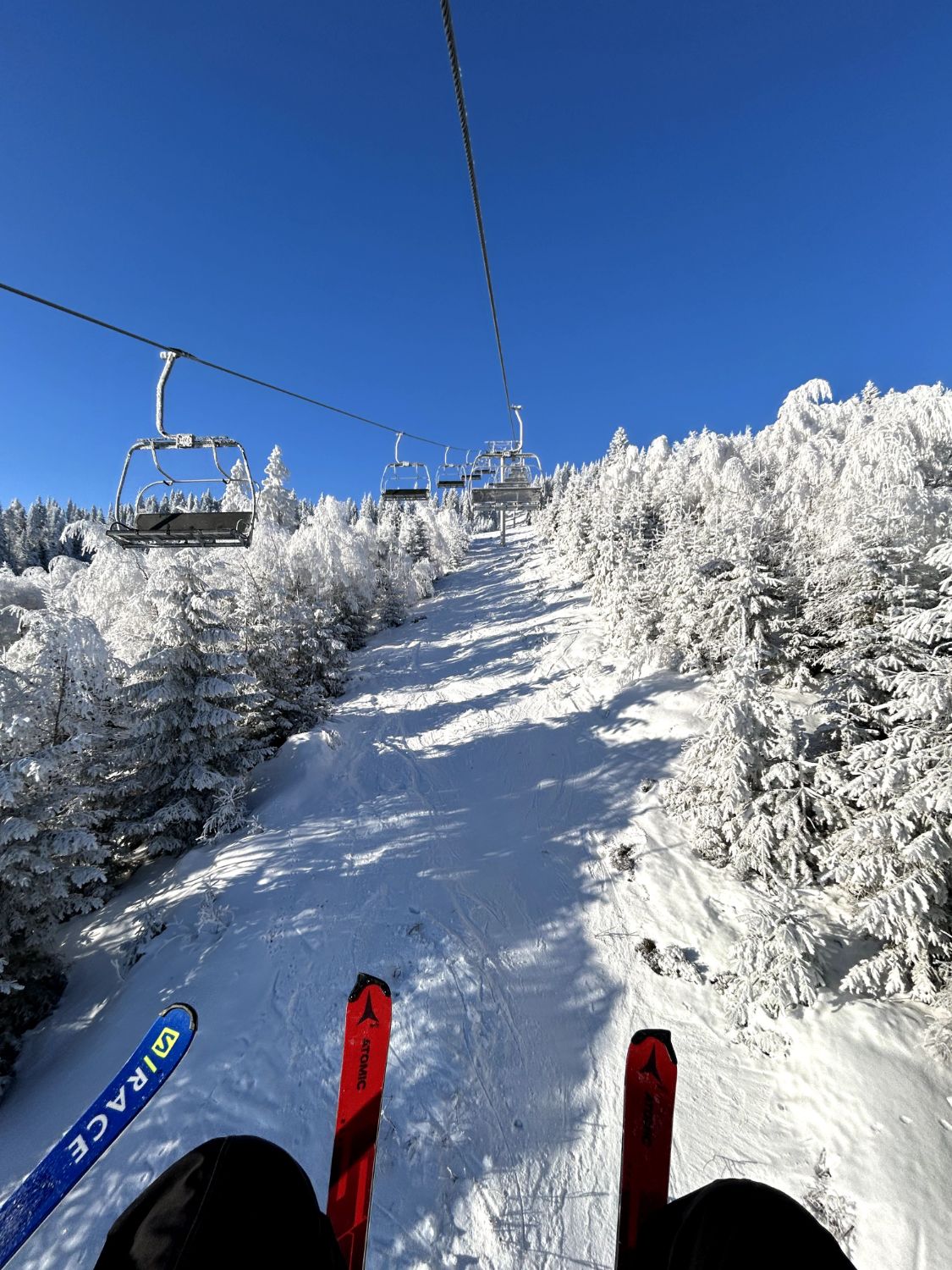 Lyžovanie