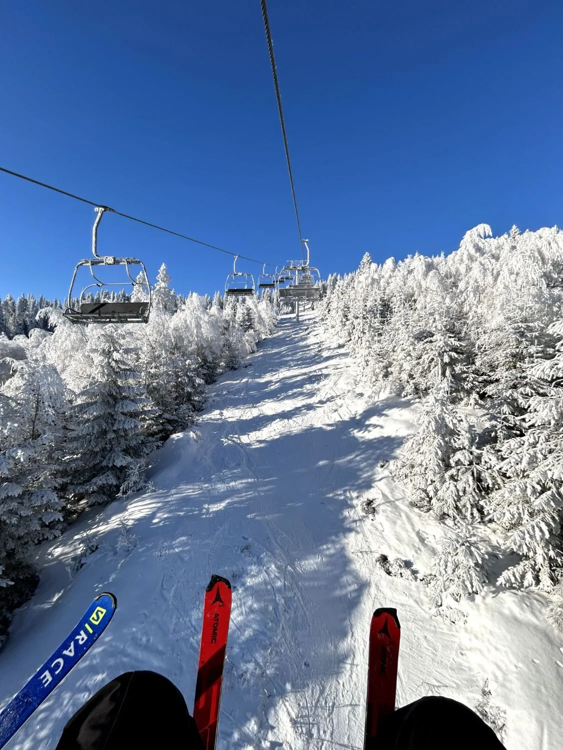 Lyžovanie